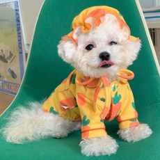 Hanbyeol Country Dog 蘿蔔帽睡衣套組, 橘子