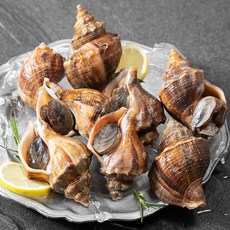 비비수산 산지직송 서해안 안면도 국산 삐뚤이 고둥, 1kg(6~9개), 1개