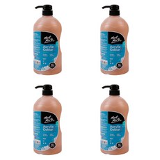 Mont Marte 蒙瑪特 生活研討會丙烯酸吐黃金4p, 1 種顏色, 1L