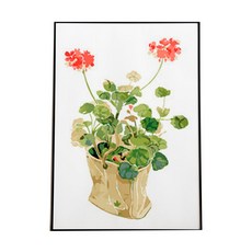 Pipo Painting PlayerBout DIY傑作繪圖, 天竺葵