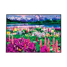 Playerbout DIY名畫繪圖, 薰衣草花園