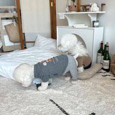 bydamsoomi 狗狗幼犬刷毛吊帶連身衣, 灰色, 1個