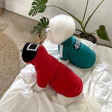 BYDAMSOOMI Dog Square Dongle 紅色頭罩形狀銘牌套組, 方形紅色