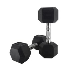 쿠스포츠 PEV 육각 아령 10kg, 2개