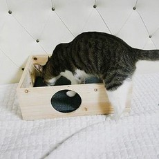 나을디자인 고양이 원목 하우스, 혼합색상, 1개