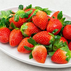 농협 새콤달콤 논산 딸기, 750g(24~30입), 1개