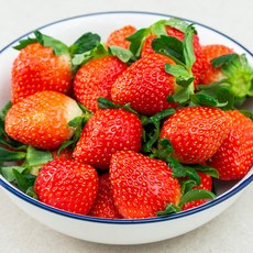 농협 새콤달콤 논산 딸기, 800g(24~30입), 1개