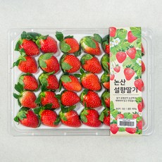농협 새콤달콤 논산 딸기, 800g(24~30입), 1개