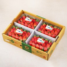 하동품애 GAP 인증 설향 딸기, 500g(상), 4팩