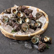 아라보감 국산 자연산 뿔소라 17~25미 (냉장), 1.5kg(17~25미), 1개