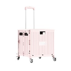 라포유 접이식 휴대용 쇼핑 카트 65L, A, 1개