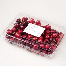 선우 칠레산 체리팩, 1kg, 1개