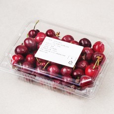선우 칠레산 체리팩, 500g, 1개