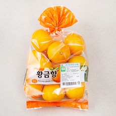 느영나영 무농약 인증 제주 황금향, 1.5kg, 1봉