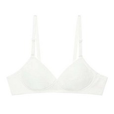 FFC 驪州天絲莫代爾文胸 201 女款