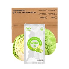 오엠오 100% 순수 양배추즙, 100ml, 50개