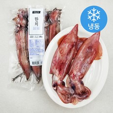 은하수산 한치 3~4미 (냉동), 500g(3~4미), 1개