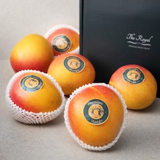 더로얄 호주산 R2E2 애플망고, 3.1kg(6입), 1박스