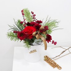 블뤼엔 생화 크리스마스 장식 꽃화분, 혼합색상, 1개