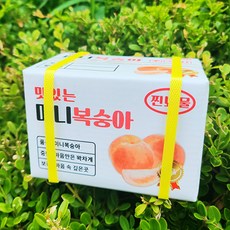 裝滿迷你錢的零用錢盒套組, 桃子