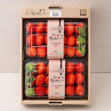 우공의딸기정원 GAP 인증 상주 대왕 설향 딸기 2팩, 1.2kg, 1박스