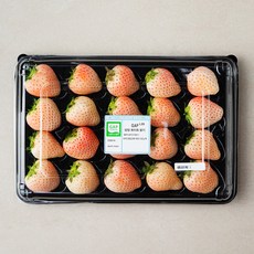 ONLYFARM GAP 인증 담양 화이트 딸기, 550g, 1개