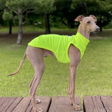 DOGGY STAR 寵物犬夏季無袖T恤, 螢光綠