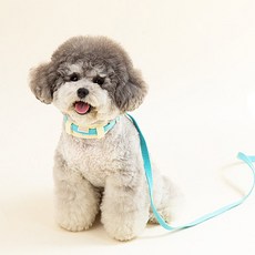 힛찌 초경량 부드러운 강아지목줄, 터키블루, 1개