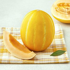 곰곰 고당도 신의 한수 멜론, 500g, 1개