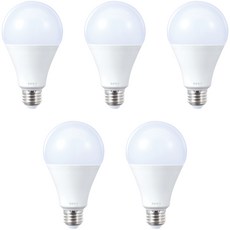 LED燈泡 2級 20W, 5個, 晝光色