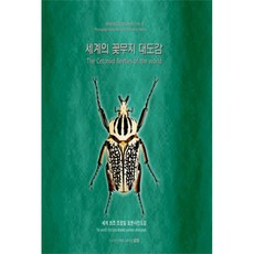 世界花金龜大圖鑑, 孫敏宇, 溝通開啟, 溝通開啟