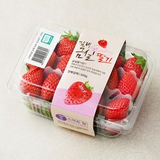 GAP 인증 스마트팜 김제 금실딸기, 500g, 1개