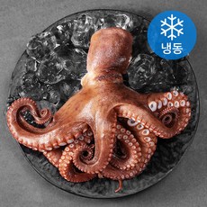 다복수산 자숙 문어 (냉동), 550g, 1개