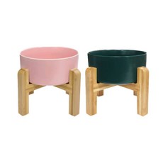 MONAGIO 寵物木製托盤陶瓷餐具2件組 大, 粉紅色 + 綠色