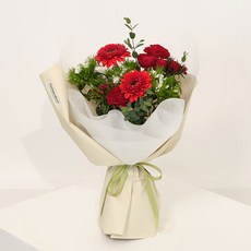 프레시가든 생화 와인레드 미니장미 + 거베라 6송이 꽃다발, 혼합색상