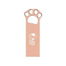 에이드 A21 128 USB 2.0 로즈골드, 128GB