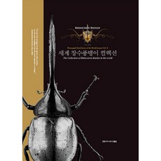 Keomyunikeisyeonyeolrim 世界獨角仙收藏集, 孫敏佑