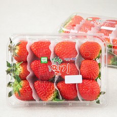 충남오감 GAP 인증 새콤달콤 논산 설향 딸기, 500g(특), 2개