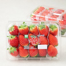 충남오감 GAP 인증 새콤달콤 논산 설향 딸기, 500g(상), 2개