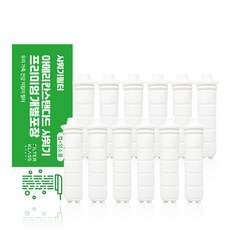 FILTER KLASS American Standard蓮蓬頭適用除氯濾芯, 12個