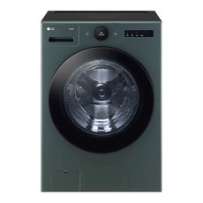 LG전자 트롬 오브제컬렉션 드럼세탁기 네이처 그린 24kg 방문설치, FX24GS