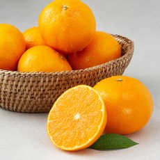 새벽경매 상큼한 천혜향, 1.2kg(6~9입), 1개