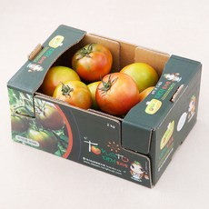 다조은 대저 지리적 표시 인증 토마토, 2kg(M과), 1박스