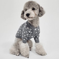 도그레이 반려견 땡땡이 니트 가디건 S 그레이, GREY, 1개