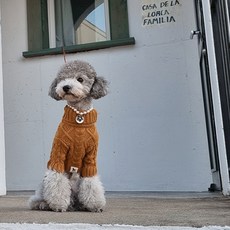 도그레이 강아지 내추럴 목폴라 니트, 모카브라운, 1개