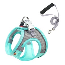 PASTEL PET 網眼反光背心+牽繩組, 薄荷綠