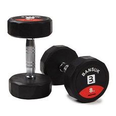 반석스포츠 맥스 12각 아령 2p, 8kg, 2개