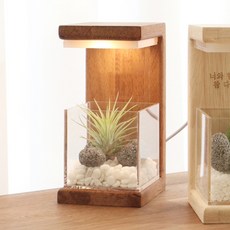 手工製原木花盆LED燈, 印茄棕