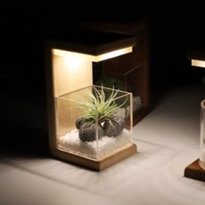 手工製原木花盆LED燈, 淺褐色