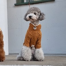 도그레이 강아지 내추럴 목폴라 니트, MOCHABROWN, 1개